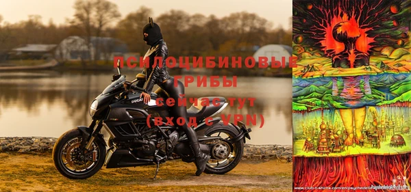 MDMA Premium VHQ Зеленокумск