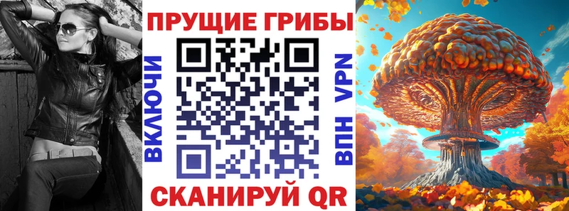 Купить где  Ильский  Псилоцибиновые грибы Cubensis 